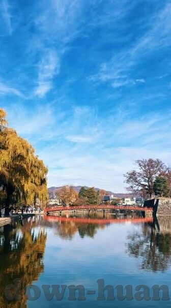 2o18年世界杯日本队比赛结果-日本队2018年世界杯征程，从小组突围到遗憾止步